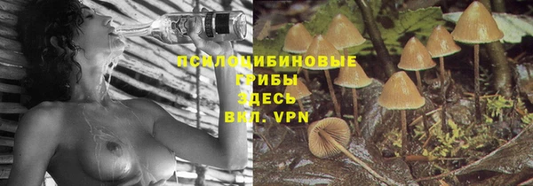 молекула духа Нефтегорск