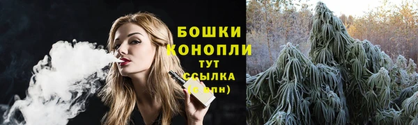 молекула духа Нефтегорск