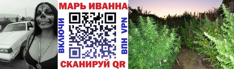 купить   Грозный  Канабис Ganja 